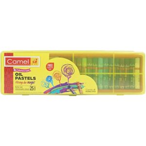 CAMLEN OIL PASTELS 25 SHADES