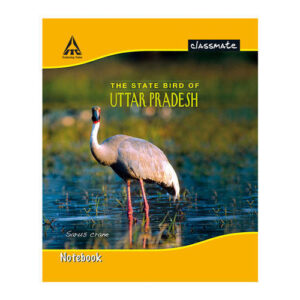 CLASSMATE NOTEBOOK FIVE LINE (HINDI) 172 Page